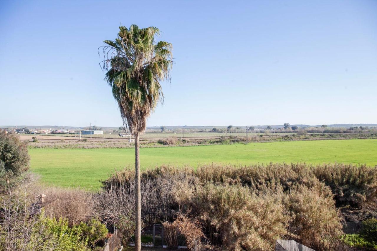 Casa Rural La Palmera Almodóvar del Río Exteriör bild