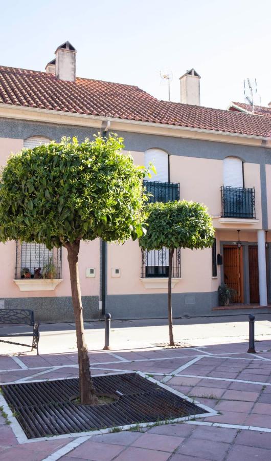 Casa Rural La Palmera Almodóvar del Río Exteriör bild