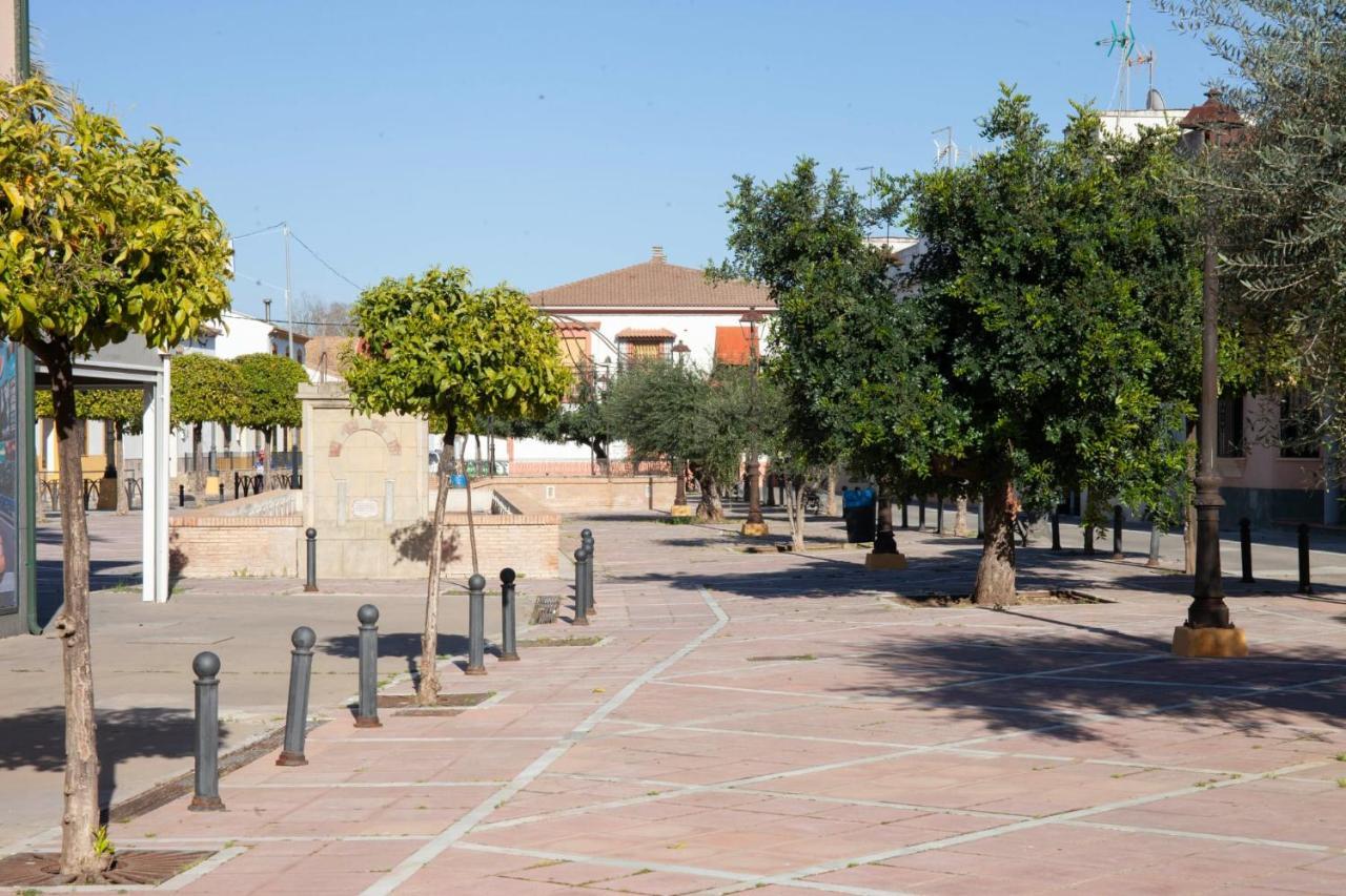 Casa Rural La Palmera Almodóvar del Río Exteriör bild